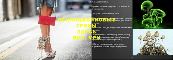 не бодяженный Беломорск