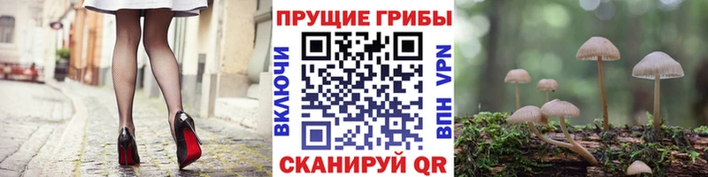 даркнет сайт  Вельск  Галлюциногенные грибы прущие грибы 